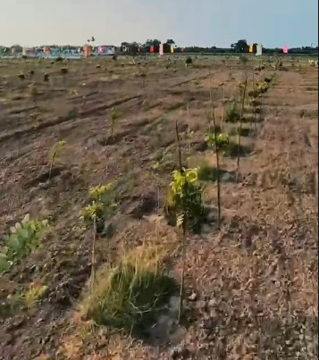 THIRUVEL NAGAR FARMLAND SALE IN VILLUPURAM - 15 LAKHS